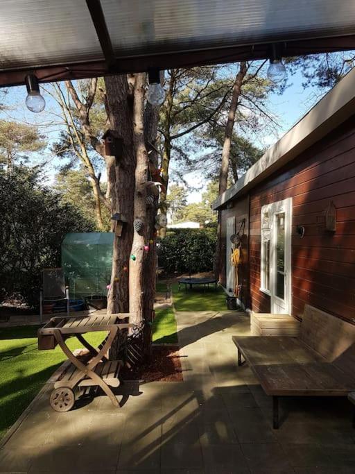 3 Bedroom Chalet On Camping Gt Balen ภายนอก รูปภาพ